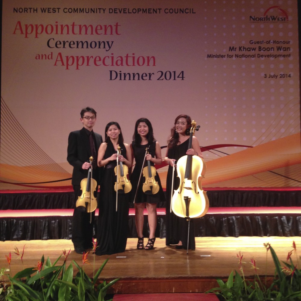 ACOUSTIC STRING QUARTET
