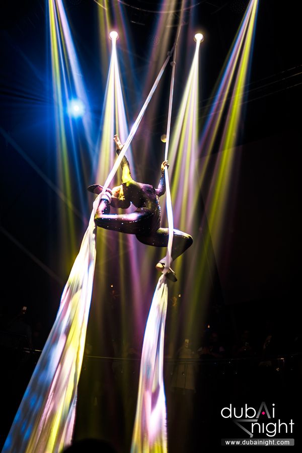 AERIALIST & ACROBAT performance