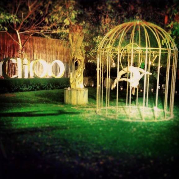 Birdcage performance