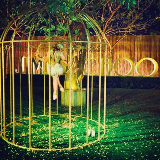 Birdcage performance