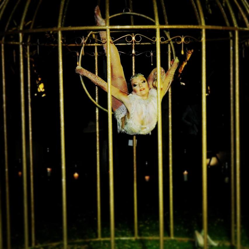 Birdcage performance