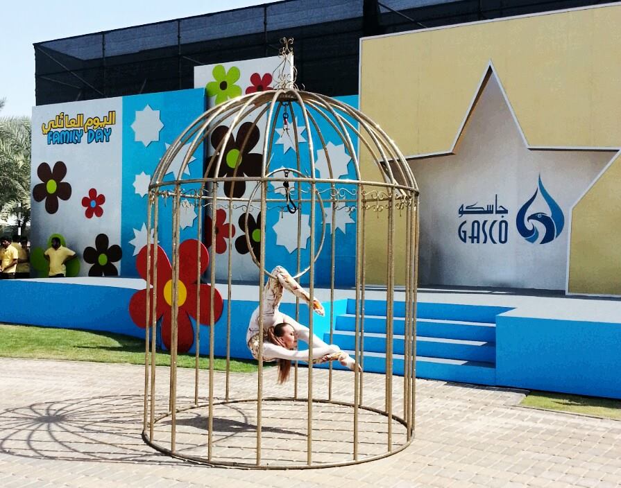Birdcage performance