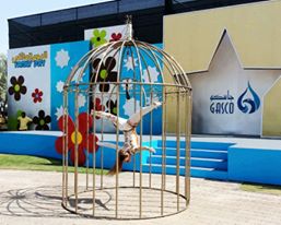 Birdcage performance