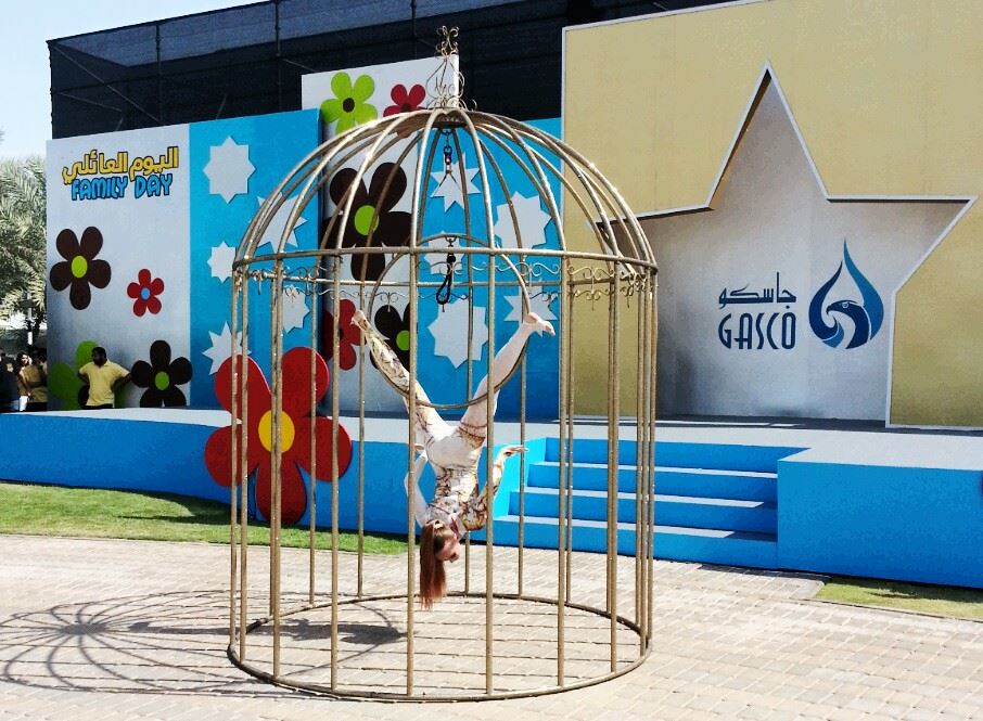 Birdcage performance