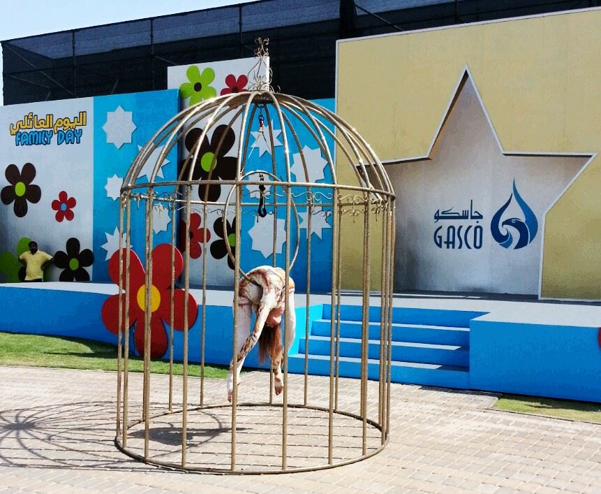 Birdcage performance