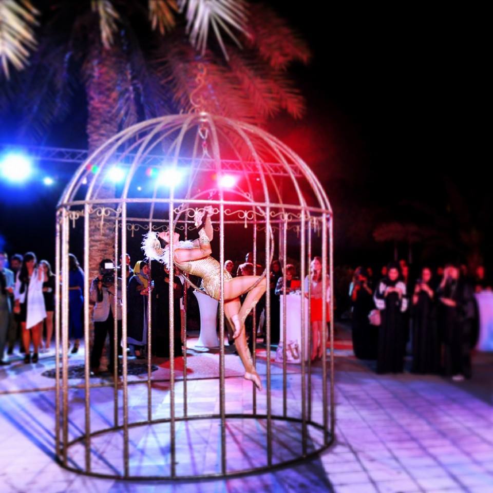 Birdcage performance