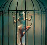 Birdcage performance