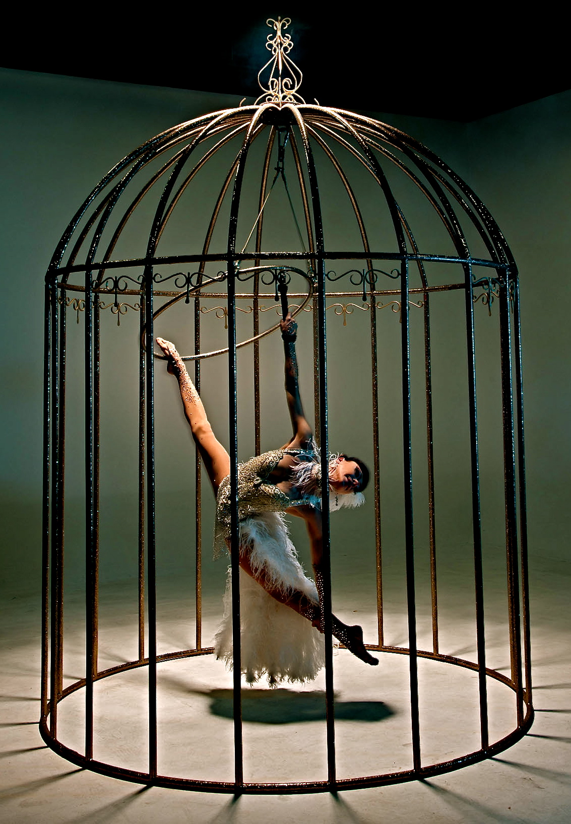 Birdcage performance