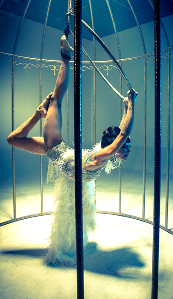 Birdcage performance