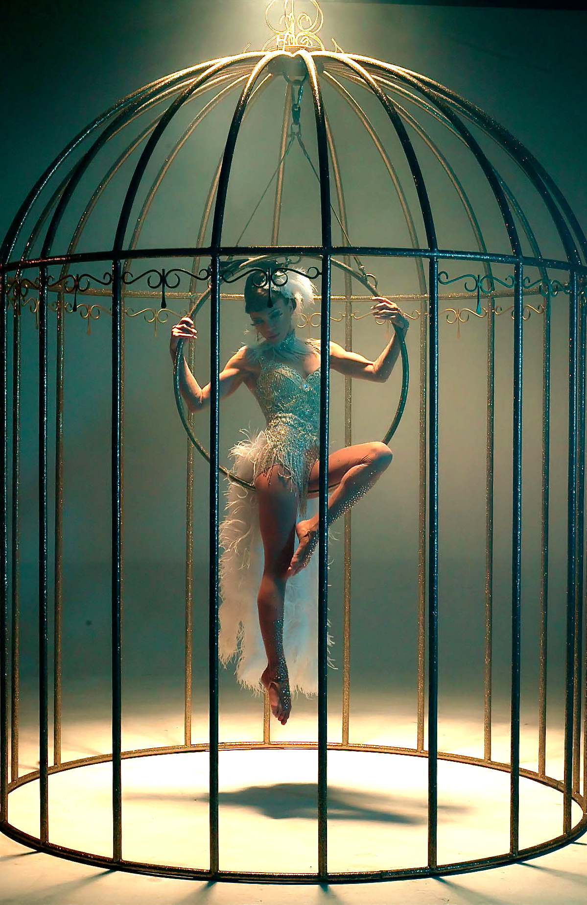 Birdcage performance