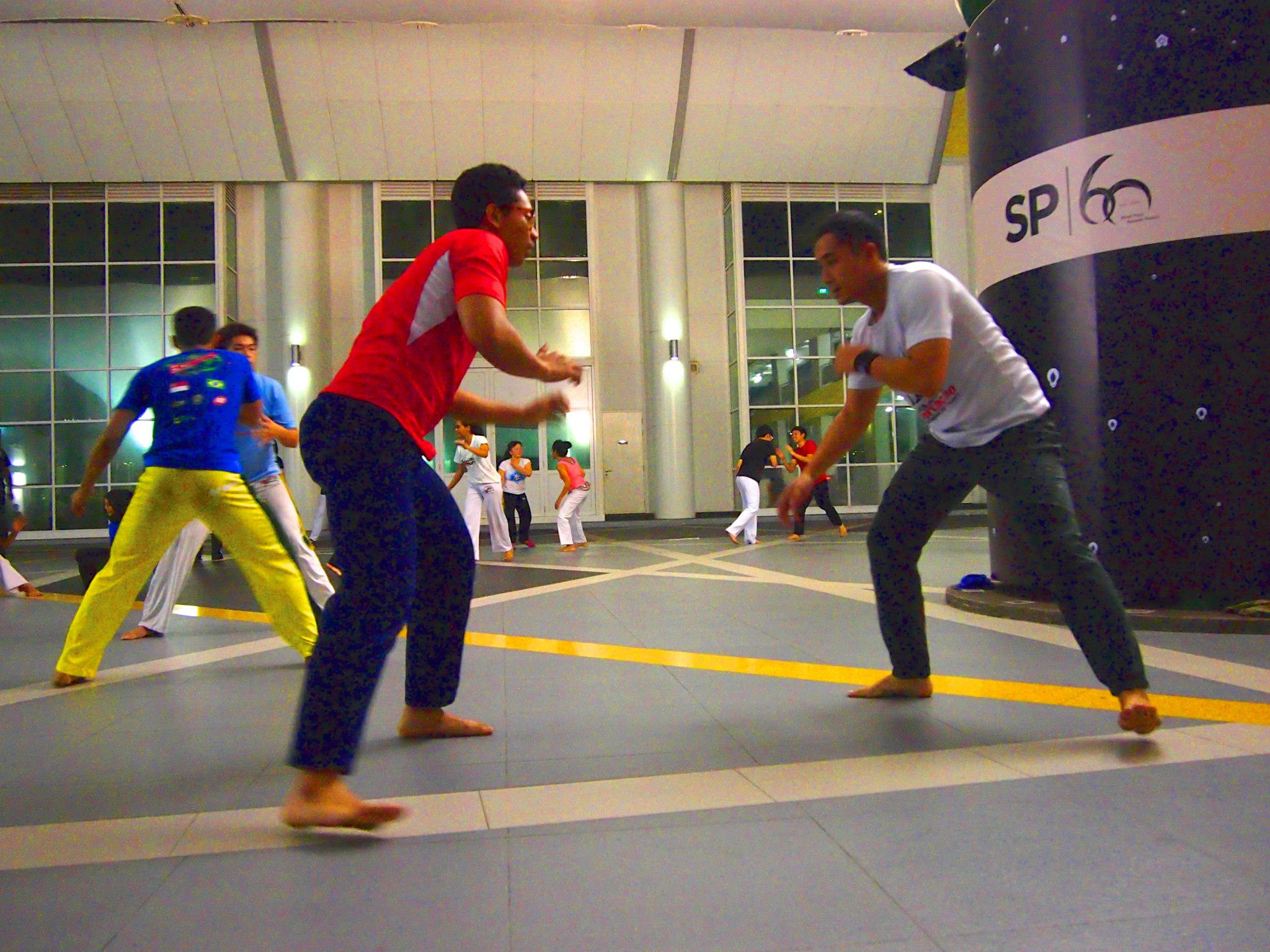 Capoeira Dancers performance