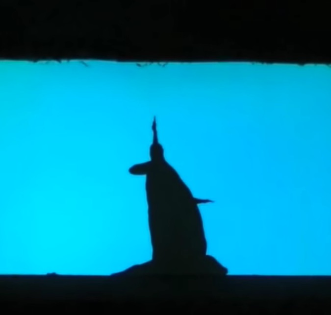 Customized Shadow Show