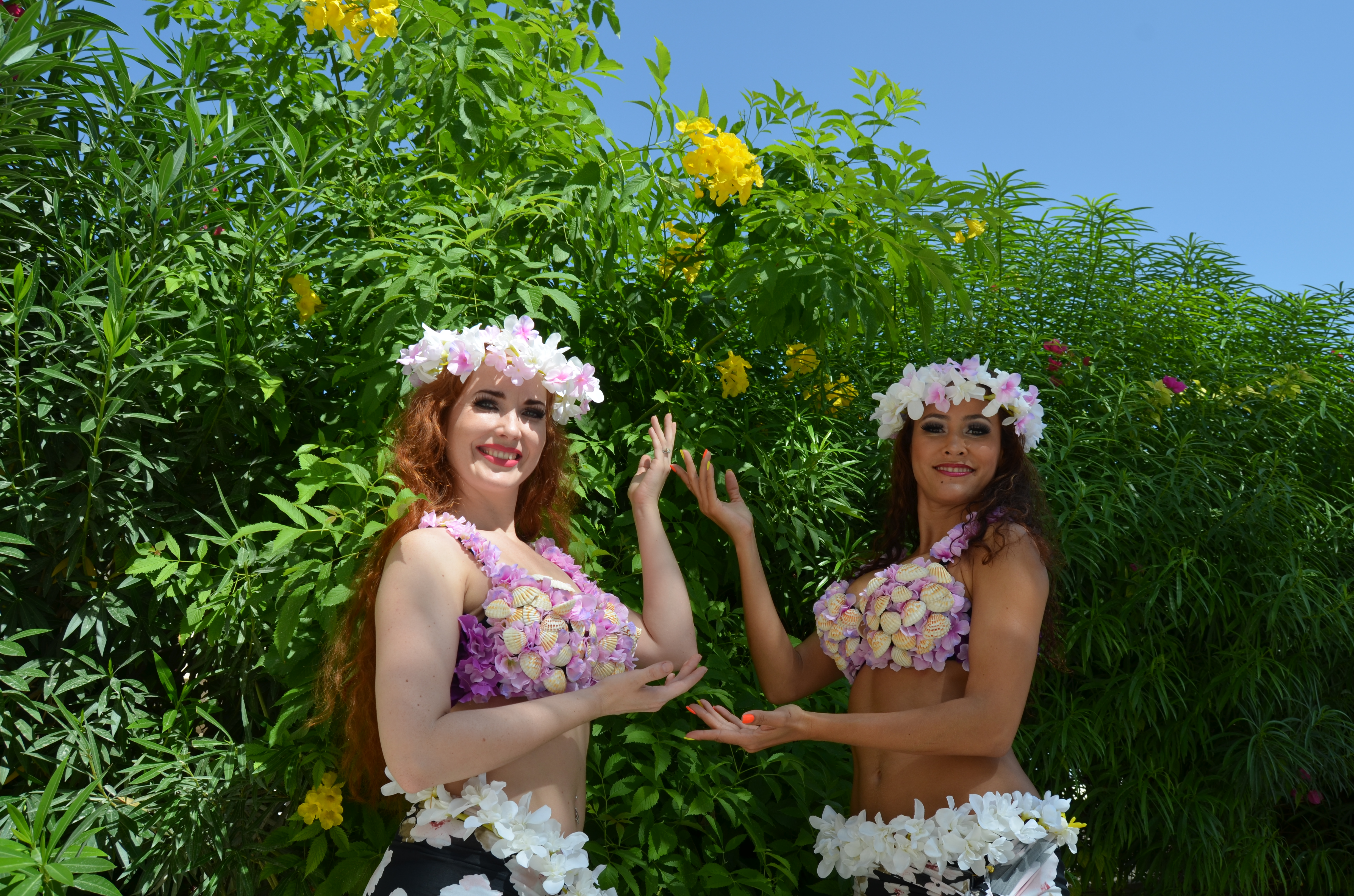Hawaiian Dancers performance