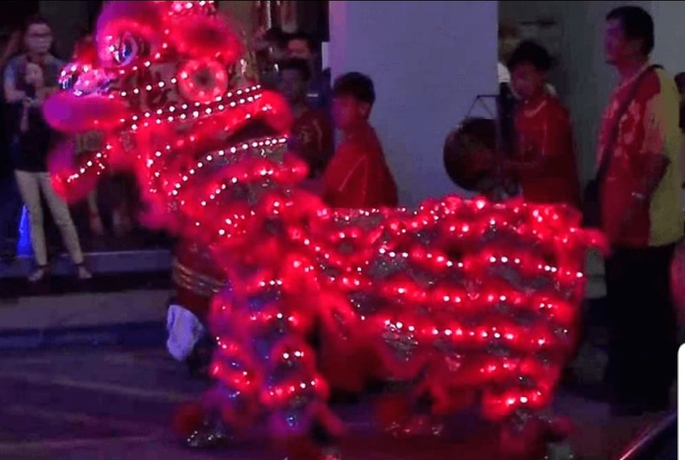 LED LION DANCE performance