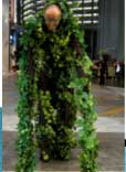STILT WALKERS performance