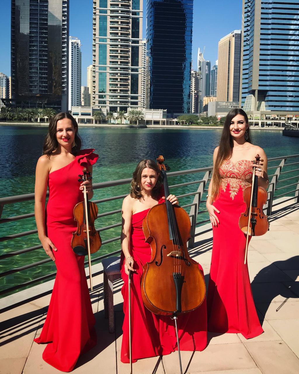 String Musicians performance