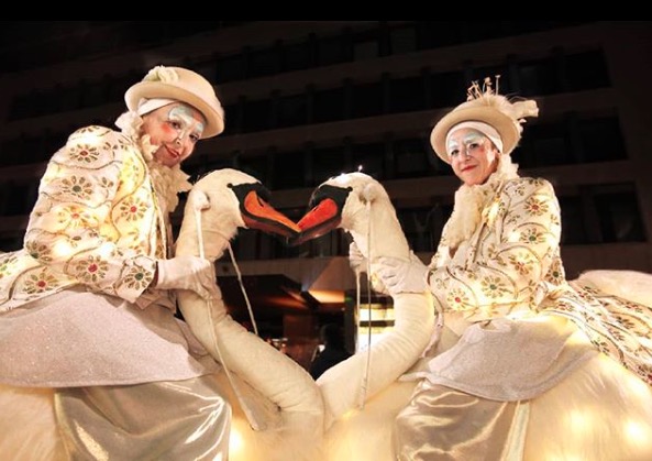 The Magnificence of Swans performance